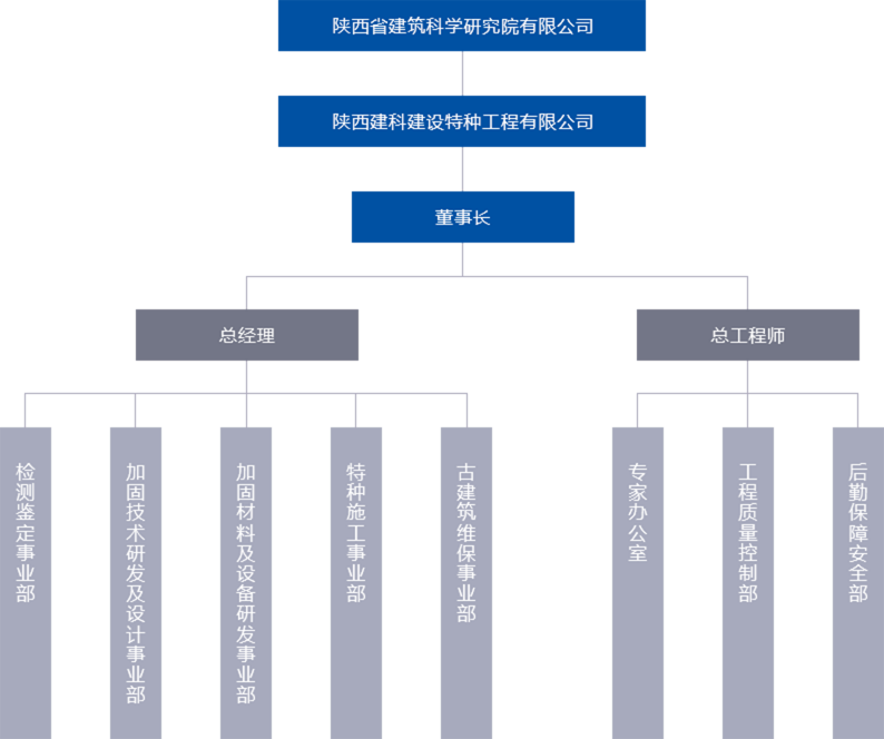 公司架构